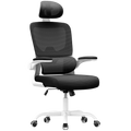 Chaise Ergonomique Origo