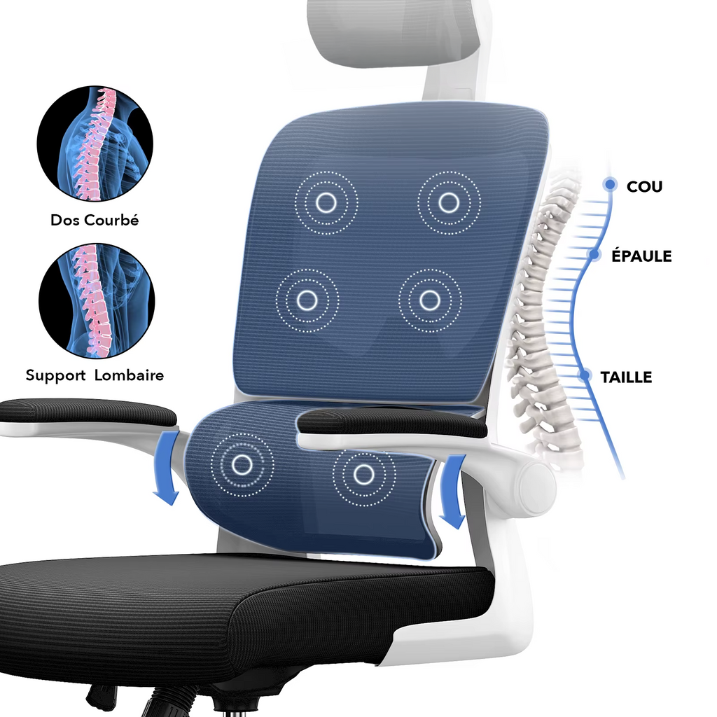 Chaise Ergonomique Origo
