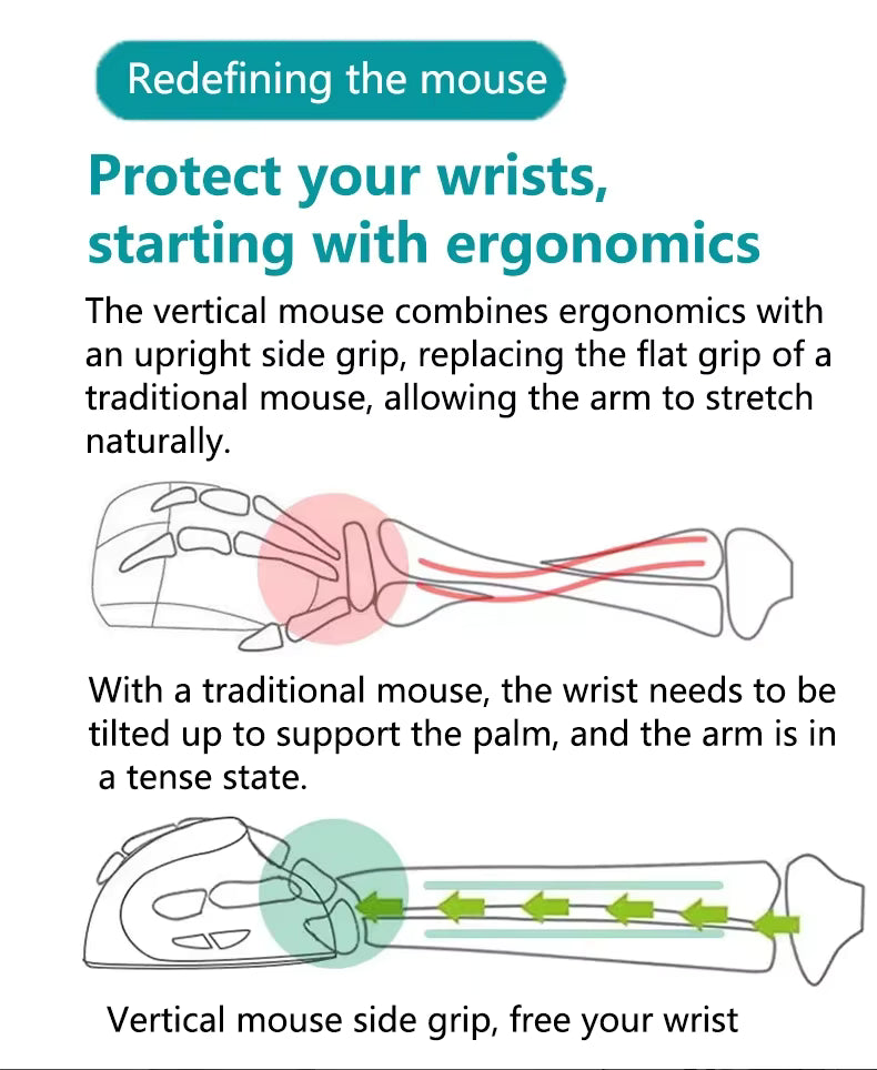 Souris ergonomique